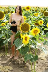 Vanessa A - The Tallest Sunflower-75f9tbmlc2.jpg